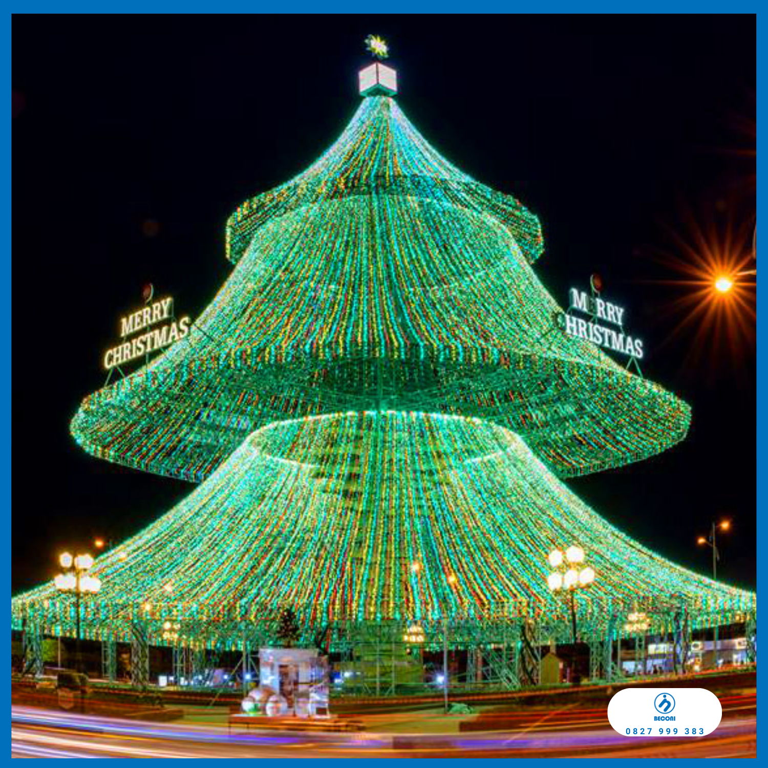 Những Thông Noel lớn nhất Việt Nam (Mới nhất)