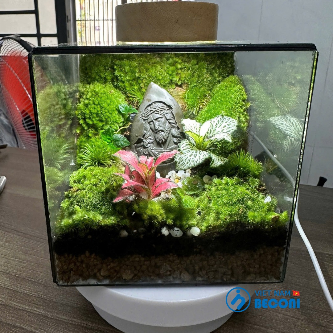 Terrarium Công Giáo theo yêu cầu – Tượng Chúa, Tượng Đức Mẹ